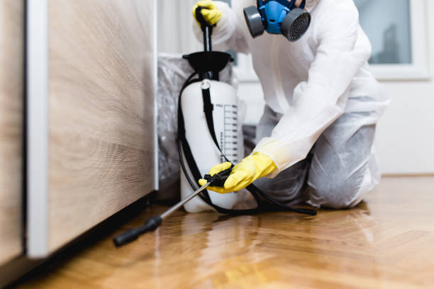 Best Pest Removal Services  in Glen Cove, NY