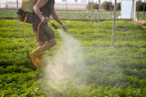 Best Pest Control for Restaurants  in Glen Cove, NY