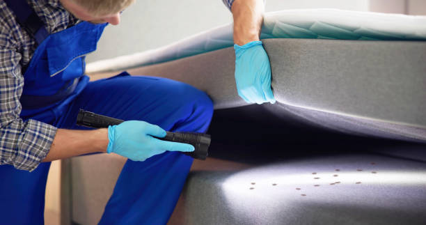 Professional Pest Control in Glen Cove, NY